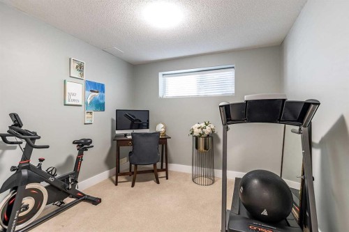 8 Terrace Circle Ne, Medicine Hat, AB - Indoor Photo Showing Gym Room