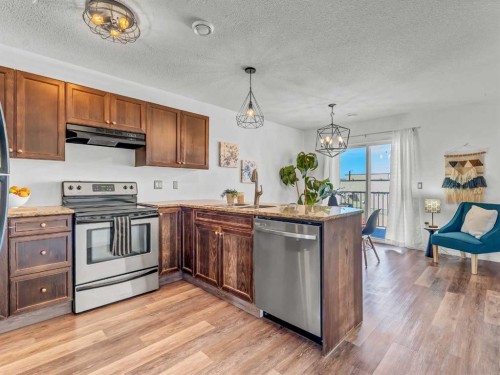 280 Northlands Pointe Ne, Medicine Hat, AB - Indoor Photo Showing Kitchen With Double Sink