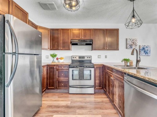 280 Northlands Pointe Ne, Medicine Hat, AB - Indoor Photo Showing Kitchen With Double Sink