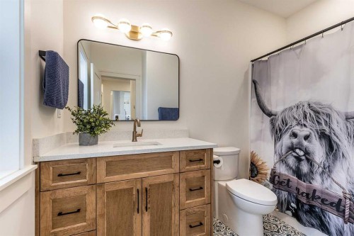 480 7 Street, Dunmore, AB - Indoor Photo Showing Bathroom