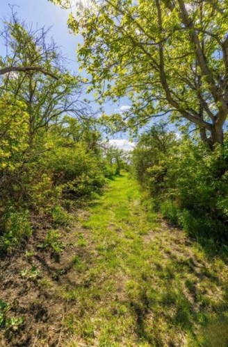 2-12016 Range Road 61A, Rural Cypress County, AB - Outdoor With View