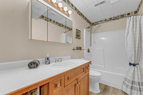 5 - 6219A Highway #3, Rural Cypress County, AB - Indoor Photo Showing Bathroom