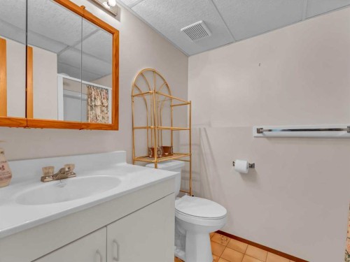 39 Rae Crescent Se, Medicine Hat, AB - Indoor Photo Showing Bathroom