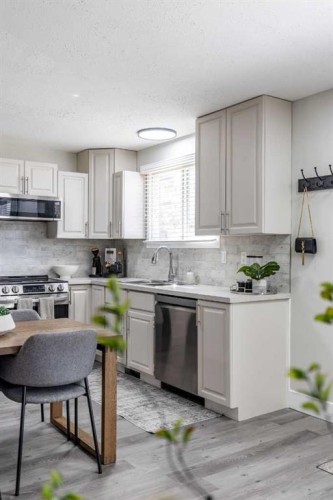 270 Shepherd Crescent Se, Medicine Hat, AB - Indoor Photo Showing Kitchen