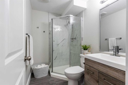 270 Shepherd Crescent Se, Medicine Hat, AB - Indoor Photo Showing Bathroom