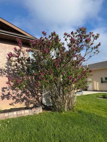 910 7 Street Se, Redcliff, AB 