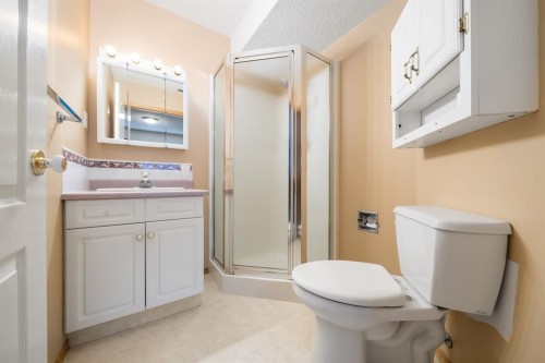 4-407 Macleod Trail Se, Medicine Hat, AB - Indoor Photo Showing Bathroom