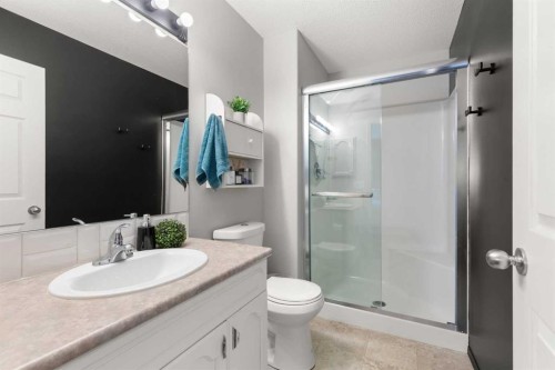 453 Stark Way Se, Medicine Hat, AB - Indoor Photo Showing Bathroom