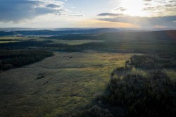 3208 Township Road 75  Rural Cypress County, AB T0J 1V0