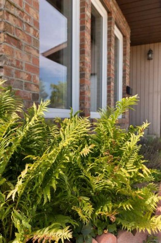 8 Rice Court Se, Medicine Hat, AB - Outdoor