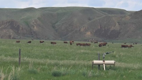 Hwy 524, Rural Taber, M.D. Of, AB 