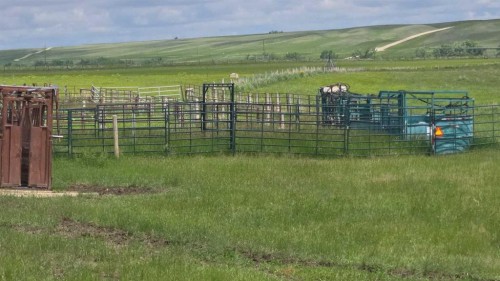 Hwy 524, Rural Taber, M.D. Of, AB 