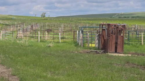Hwy 524, Rural Taber, M.D. Of, AB 