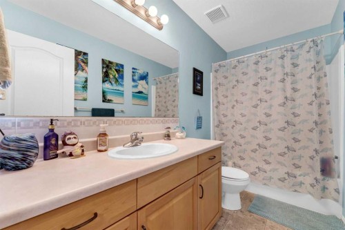 369 Stratton Way Se, Medicine Hat, AB - Indoor Photo Showing Bathroom