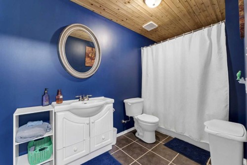 369 Stratton Way Se, Medicine Hat, AB - Indoor Photo Showing Bathroom