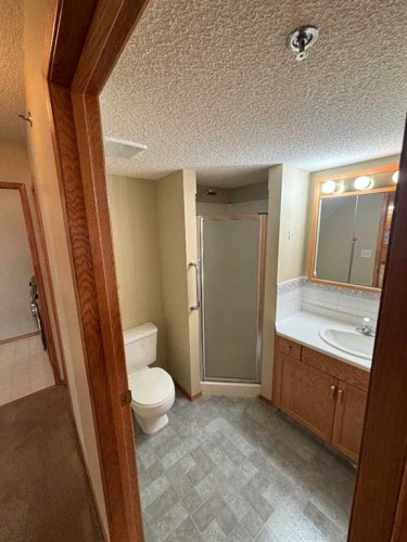 424-3021 13 Avenue Se, Medicine Hat, AB - Indoor Photo Showing Bathroom