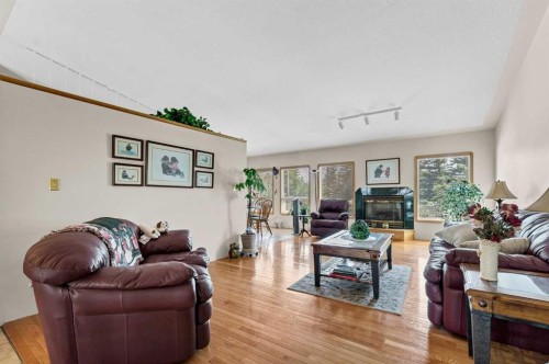 1336 4A Avenue, Dunmore, AB - Indoor Photo Showing Living Room With Fireplace