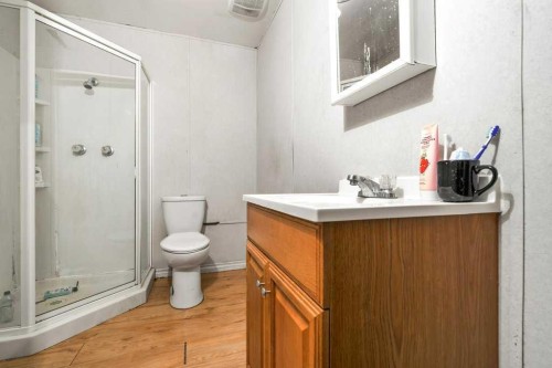 480 Hilton Crescent Ne, Medicine Hat, AB - Indoor Photo Showing Bathroom