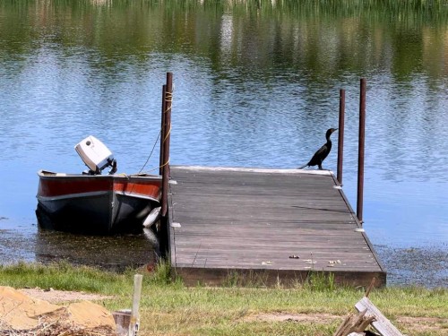 7312 Township Road 124, Rural Cypress County, AB - Outdoor With Body Of Water