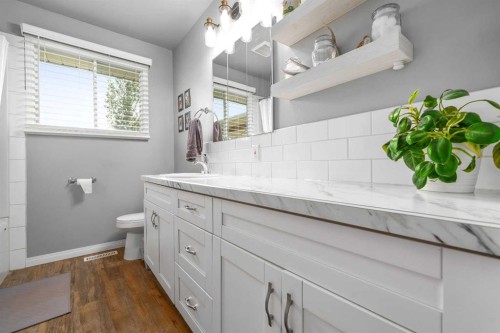 109 Centennial Park Crescent East, Bow Island, AB - Indoor Photo Showing Bathroom