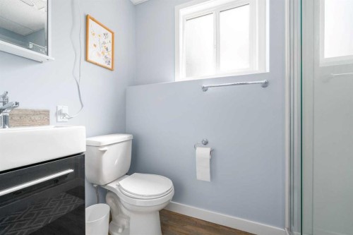 109 Centennial Park Crescent East, Bow Island, AB - Indoor Photo Showing Bathroom