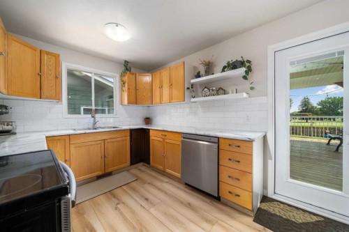 109 Centennial Park Crescent East, Bow Island, AB - Indoor Photo Showing Kitchen With Double Sink