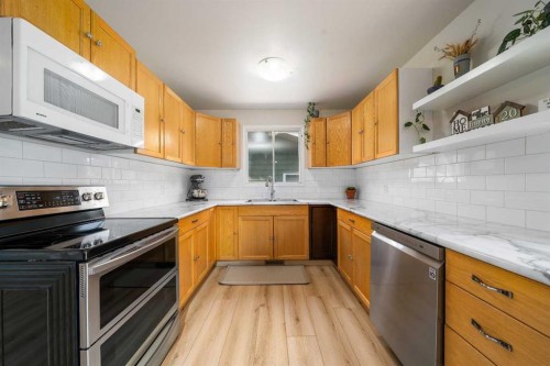 109 Centennial Park Crescent East, Bow Island, AB - Indoor Photo Showing Kitchen With Double Sink