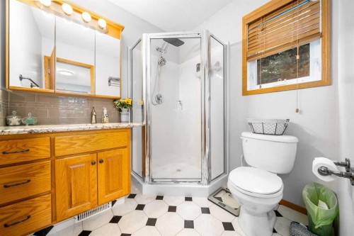 104063 Range Road 111, Bow Island, AB - Indoor Photo Showing Bathroom