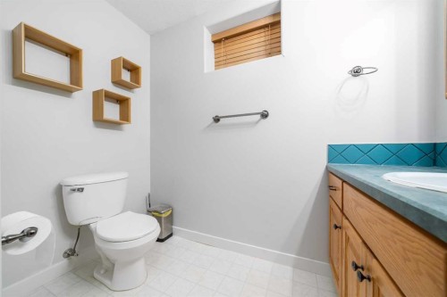 104063 Range Road 111, Bow Island, AB - Indoor Photo Showing Bathroom