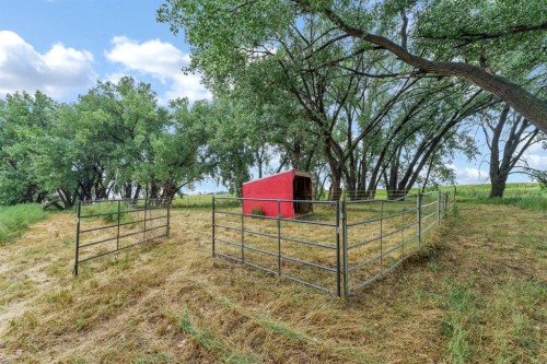 12417 Range Road 71, Rural Cypress County, AB - Outdoor With View