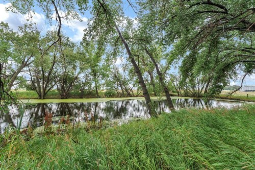 12417 Range Road 71, Rural Cypress County, AB - Outdoor