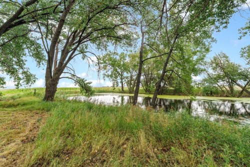 12417 Range Road 71, Rural Cypress County, AB - Outdoor With View