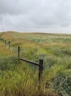 11005 Eagle Butte Road  Rural Cypress County, AB T1B 0L1