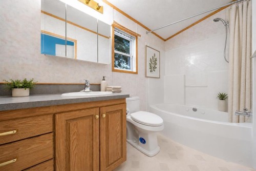 210 5 Street Nw, Redcliff, AB - Indoor Photo Showing Bathroom