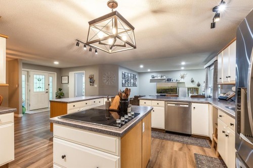 22 5 Avenue, Seven Persons, AB - Indoor Photo Showing Kitchen