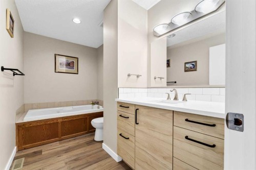 29 Rice Drive Se, Medicine Hat, AB - Indoor Photo Showing Bathroom