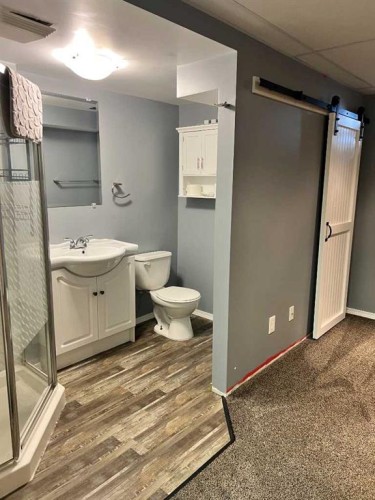 602 7 Street Se, Redcliff, AB - Indoor Photo Showing Bathroom