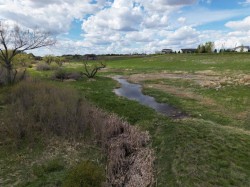 Holsom Road  Rural Cypress County, AB T1A 7G8