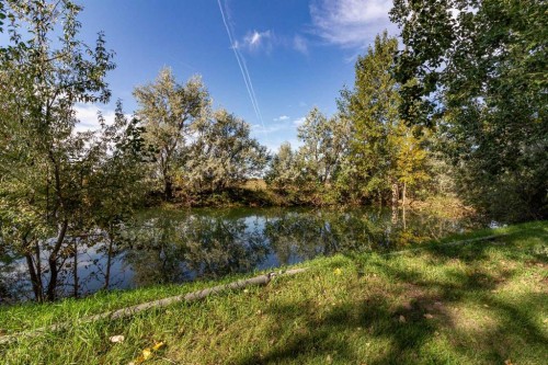 12228 Range Road 64, Rural Cypress County, AB 