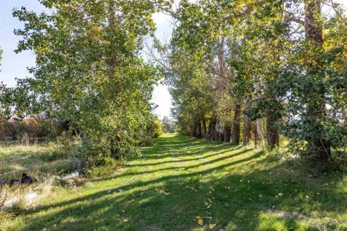 12228 Range Road 64, Rural Cypress County, AB 