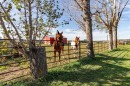 12228 Range Road 64, Rural Cypress County, AB 