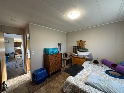 204 Sligo Street, Patricia, AB 