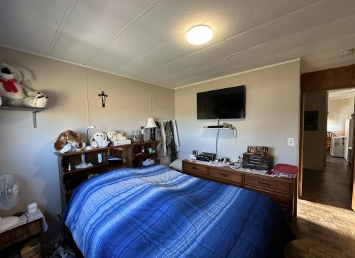 204 Sligo Street, Patricia, AB 