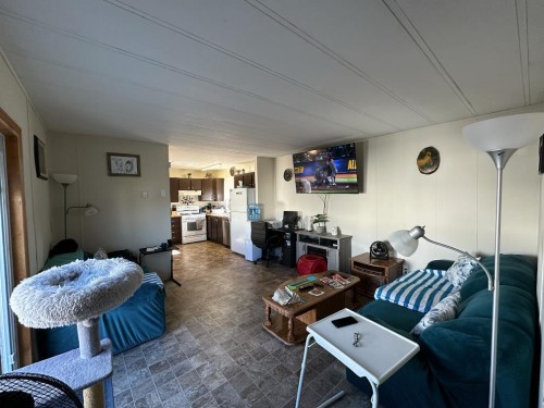 204 Sligo Street, Patricia, AB 