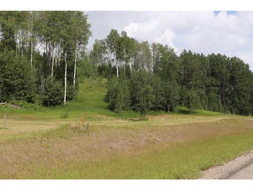 23-16511 Township Road Subdivision, Rural Yellowhead County, AB 