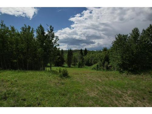 19 Mountain Springs, Rural Woodlands County, AB 