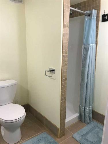 604 10 Street, Fox Creek, AB - Indoor Photo Showing Bathroom