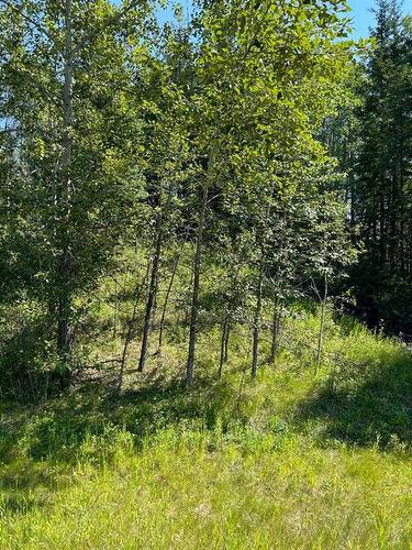 Lot R3 Westridge Road, Rural Woodlands County, AB 