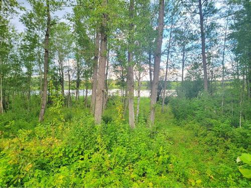 2, 240054 Township Road 670, Rural Athabasca County, AB - Outdoor