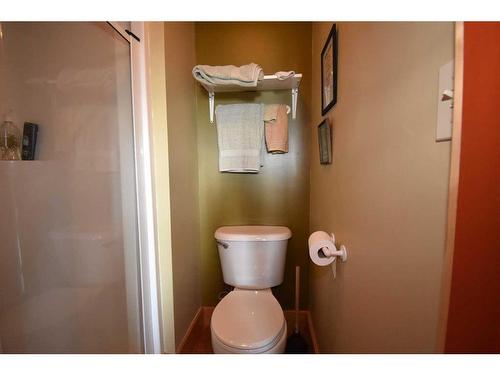 4701 Mountain Road, Brule, AB - Indoor Photo Showing Bathroom